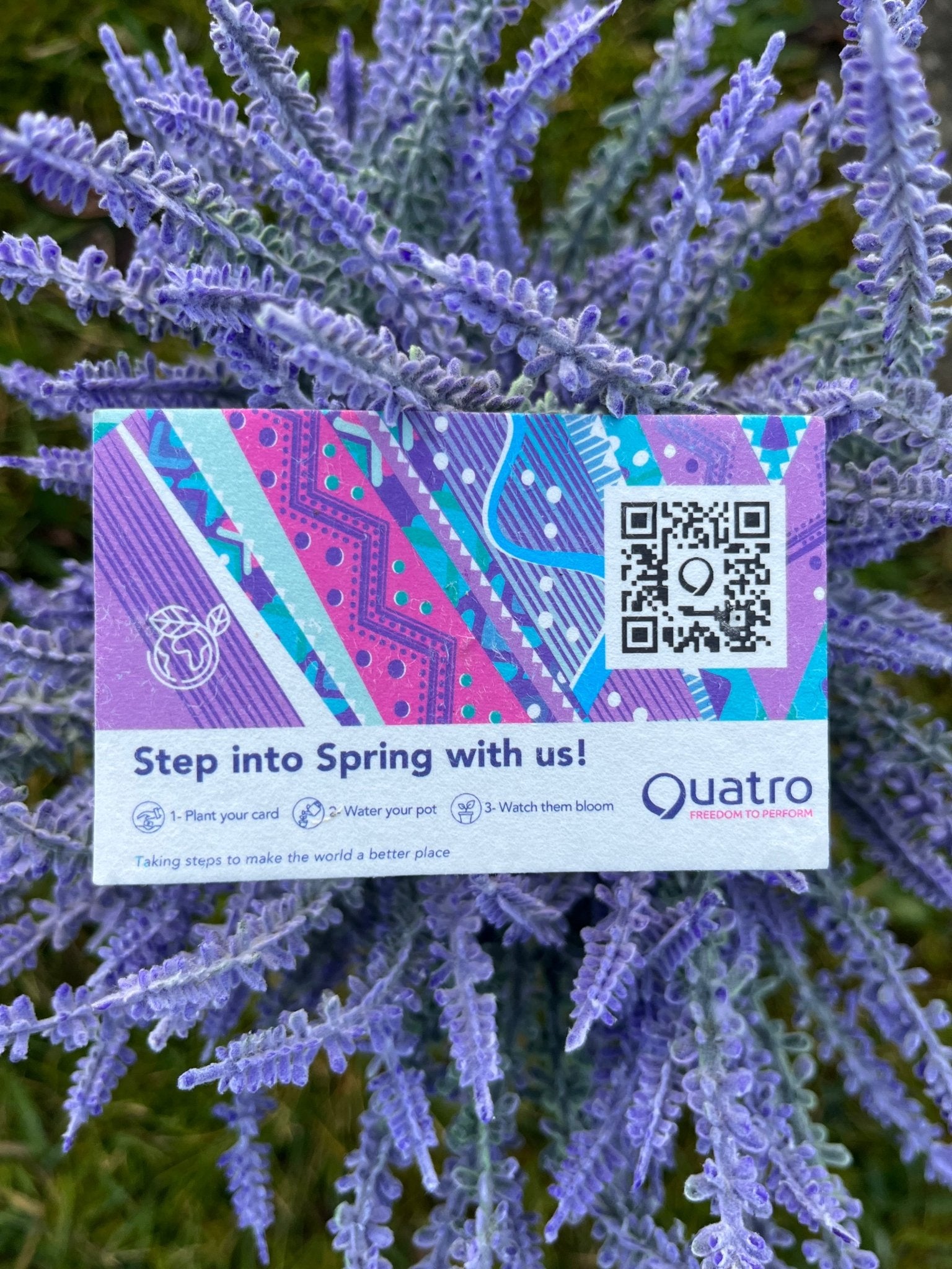 A Special Eco-Friendly Gift with Every Spring Collection Order! - Quatro Gymnastics UK