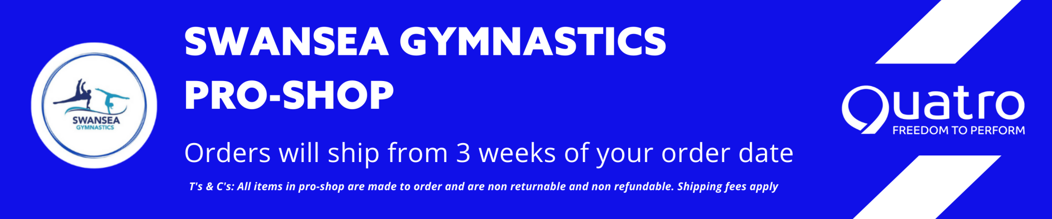 Swansea Gymnastics - Quatro Gymnastics UK
