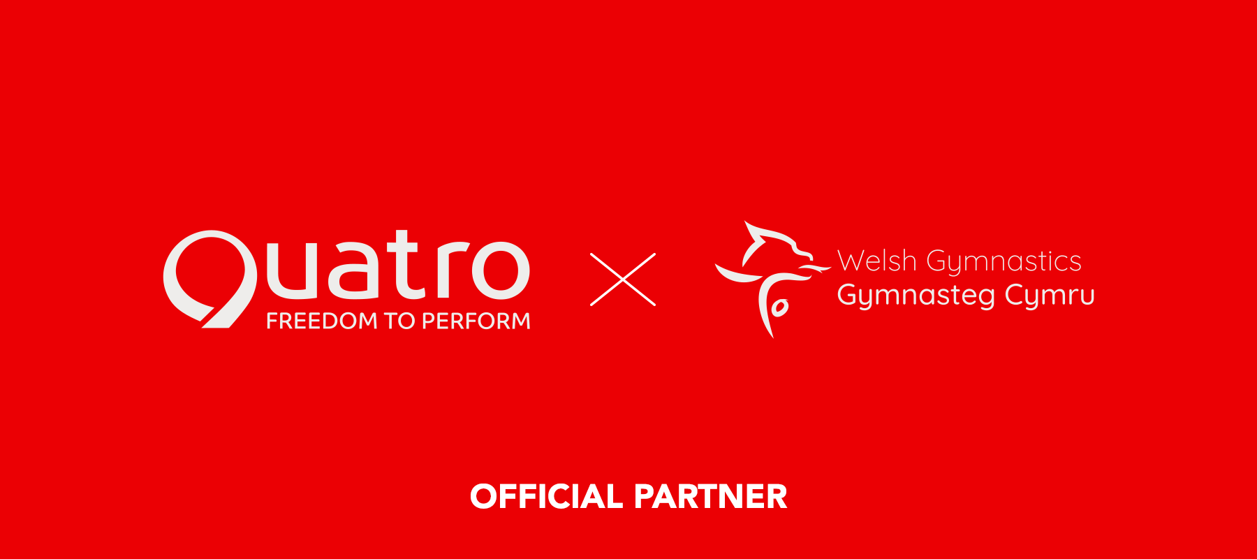 Welsh Gymnastics Fan Range