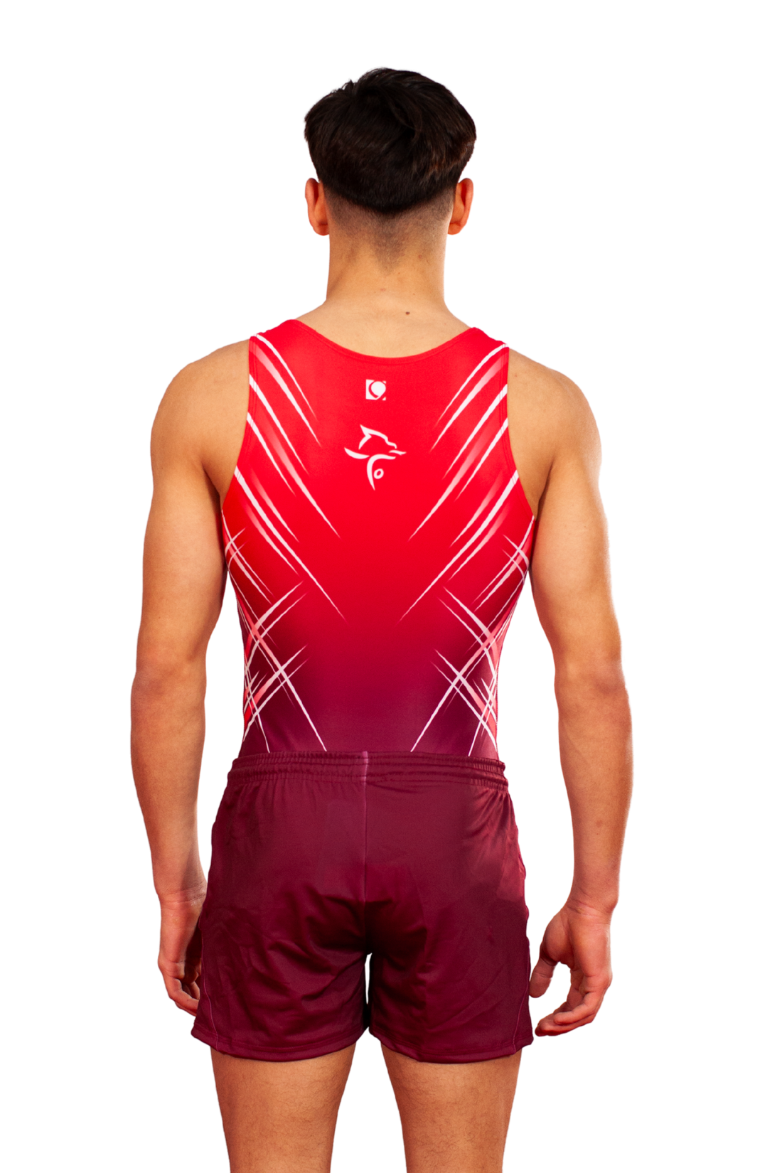 Welsh Gymnastics - Fan Range - MAG Leotard