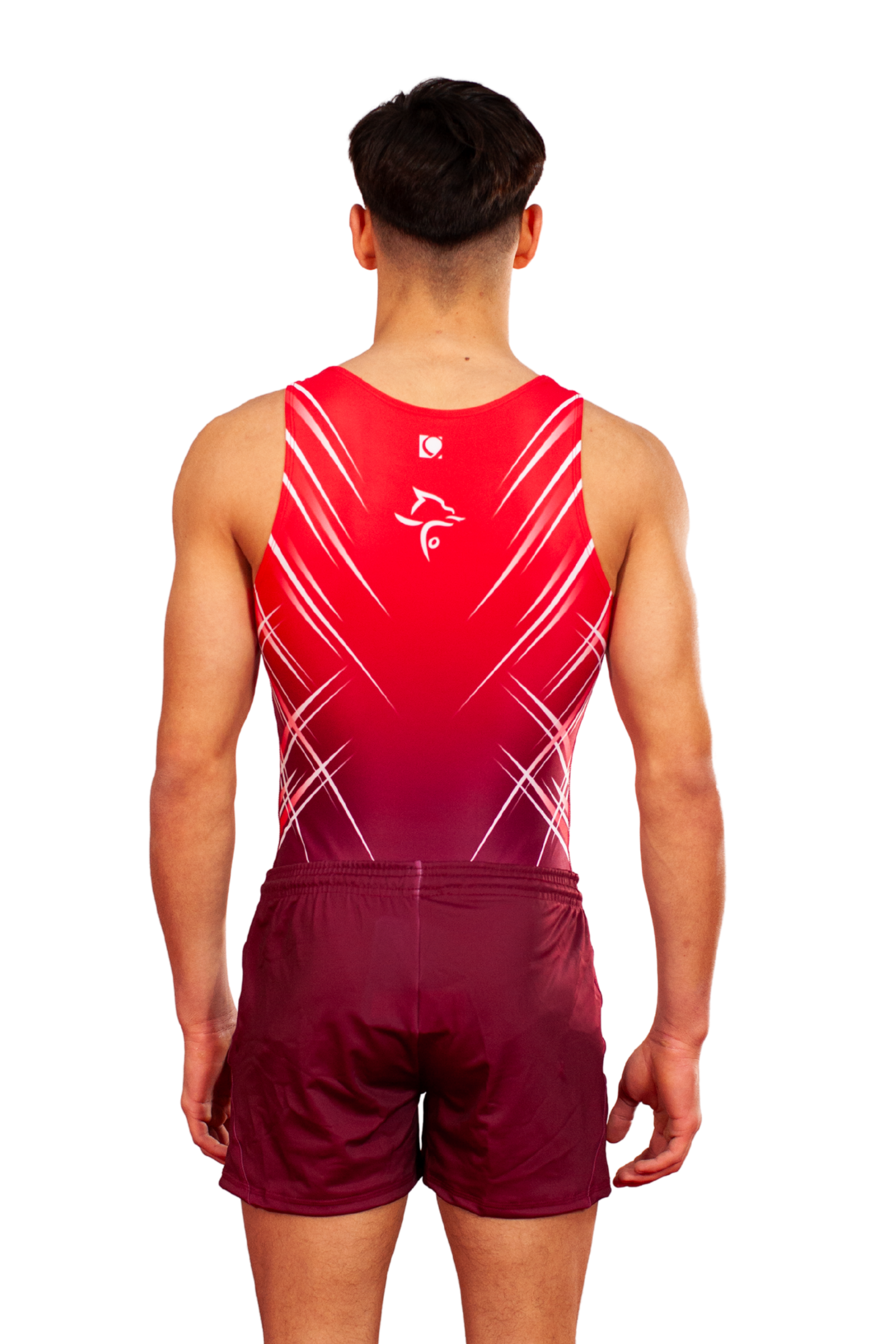 Welsh Gymnastics - Fan Range - MAG Leotard