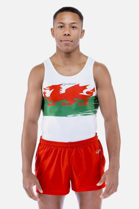 Six Nations Wales Mens Leotard - configurable - Quatro Gymnastics UK